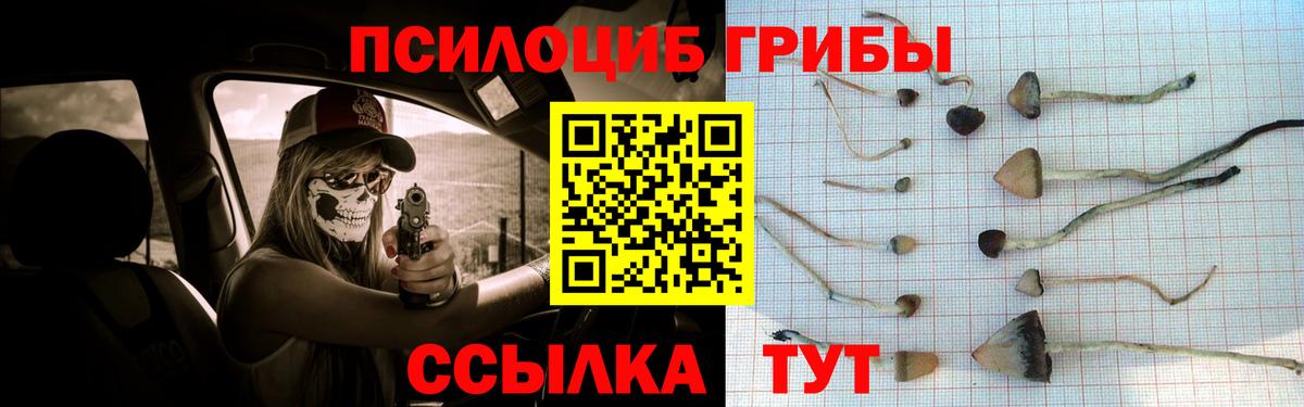 Галлюциногенные грибы Cubensis Кострома